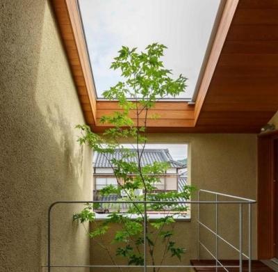 GỖ TRONG SUỐT – VẬT LIỆU TƯƠNG LAI THAY THẾ KÍNH TRONG KIẾN TRÚC XANH