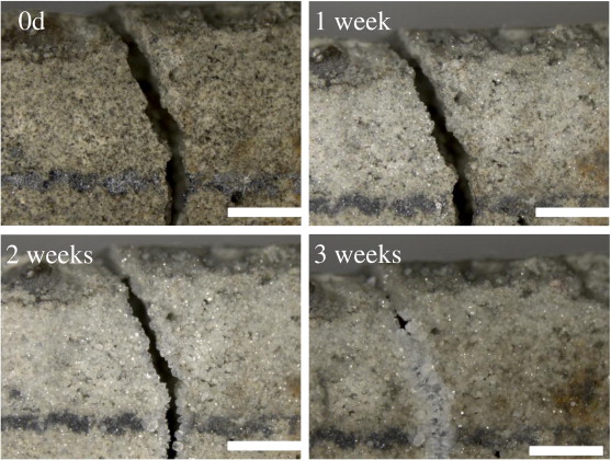 Nanomaterials-Based Self-Healing Concrete A Sustainable Revolution in Construction