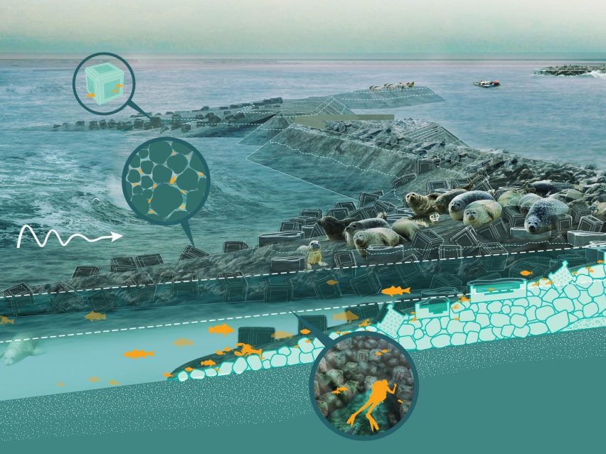 Using Oysters to Protect Bridge Piers From Folk Knowledge to Sustainable Construction Solutions