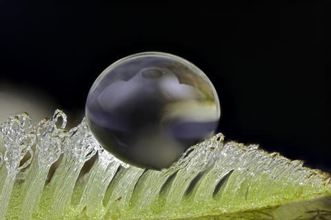 Self-Cleaning Smart Surfaces Nano-Coating Solutions for Modern Architecture & Engineering