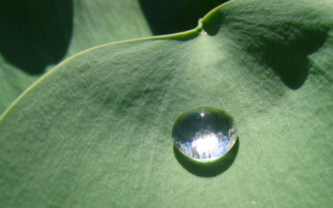Self-Cleaning Smart Surfaces Nano-Coating Solutions for Modern Architecture & Engineering