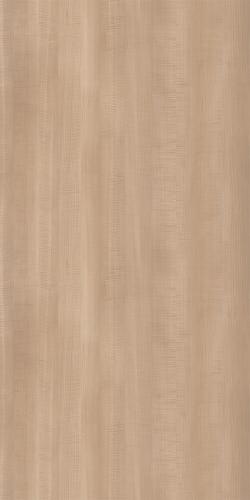 L101C Maple - Figure