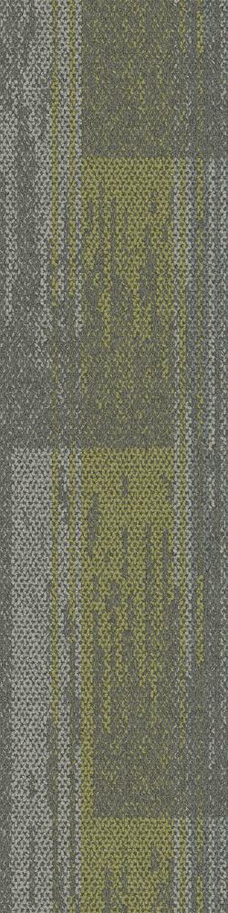 AE313 – Aerial Collection