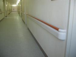 Bumper Handrail-BHR