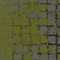 Moss – Human Connections Collection