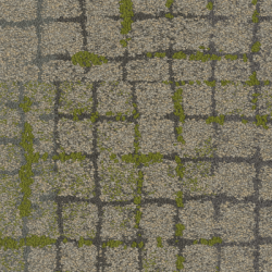 Moss In Stone – Human Connections Collection