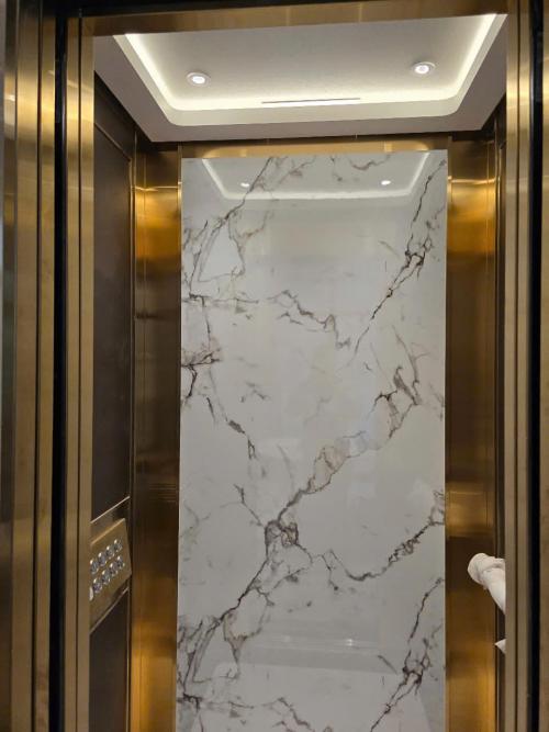 Toshiba Home Lift Special-H (400kg)