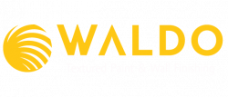 WALDO