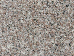 Purple Mongol Granite-(China)