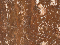 Travertine Rosso -(Iran)