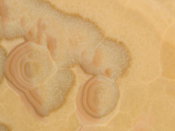 Honey Onyx - Turkey