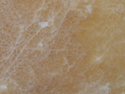 Onyx Cappuchino