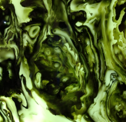 Onyx No. 005