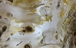 Onyx No. 004