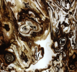 Onyx No. 002