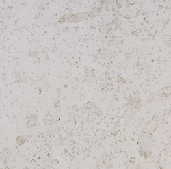 Beige Perolla