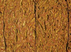 Red Laterite Stone