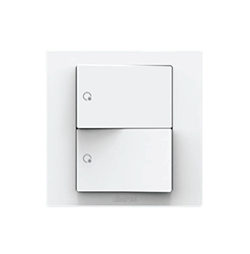 One Way Double Switch Set  S5121