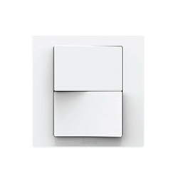 16AX Two-way Dual Switch Set  S5122