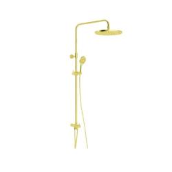 RAK48042.GD1 Round Dual Shower System