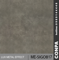 CONPA ME-SIGOB17