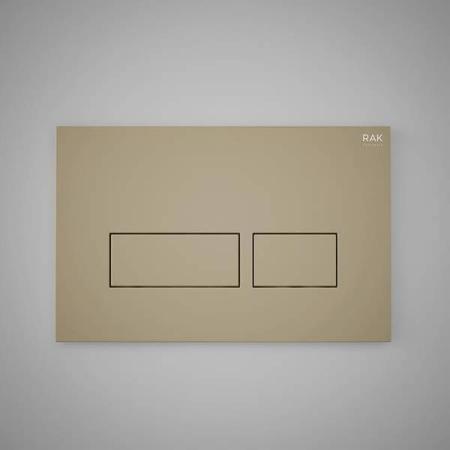 RAK Ceramics Push Button Flush