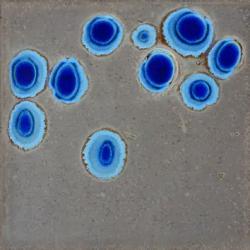 GD20-C01